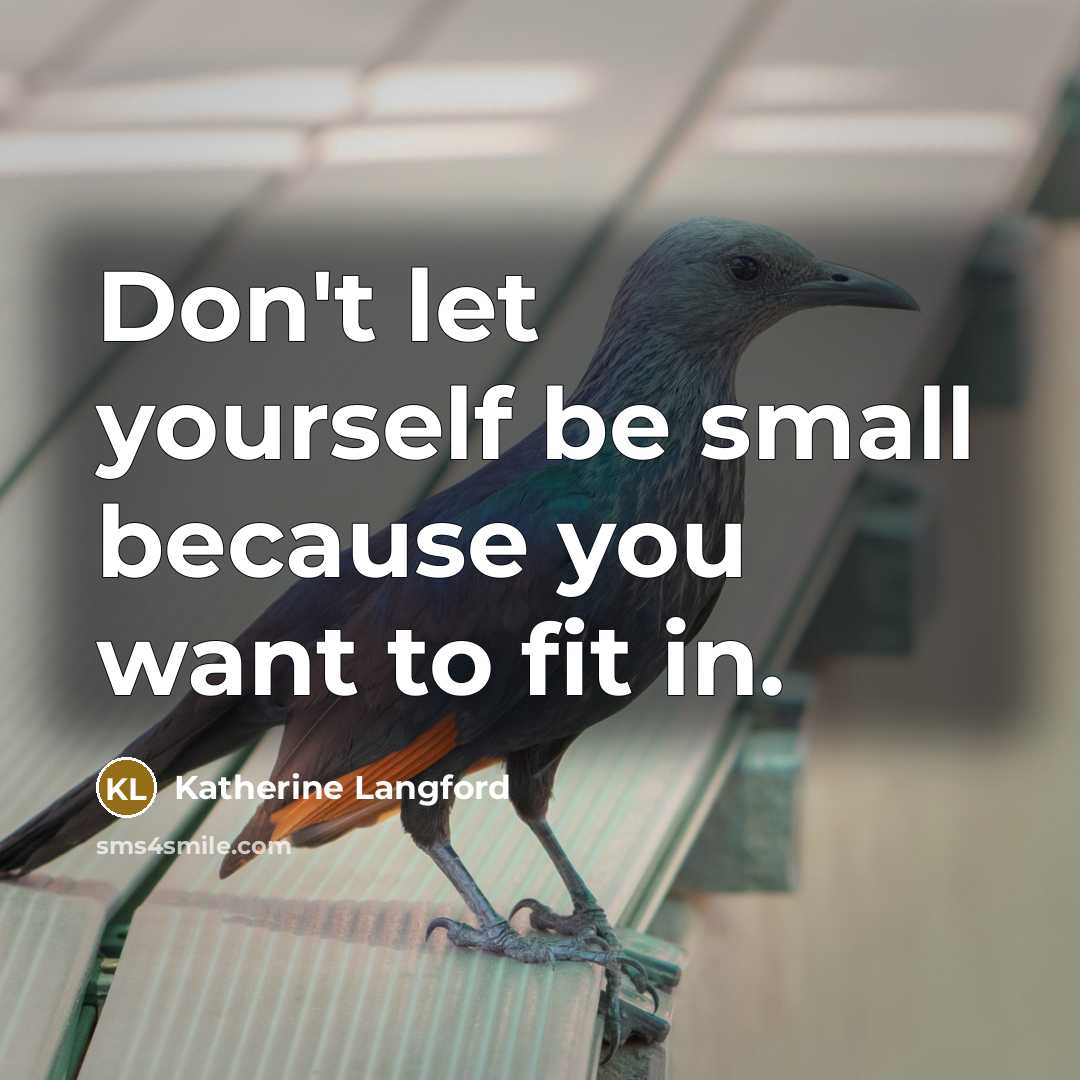 “Don't let yourself be small because you want to fit…” quote by Katherine Langford