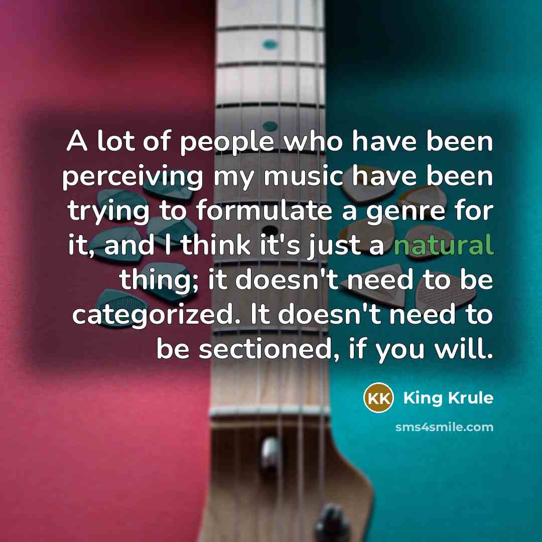 “A lot of people who have been perceiving my music…” quote by King Krule