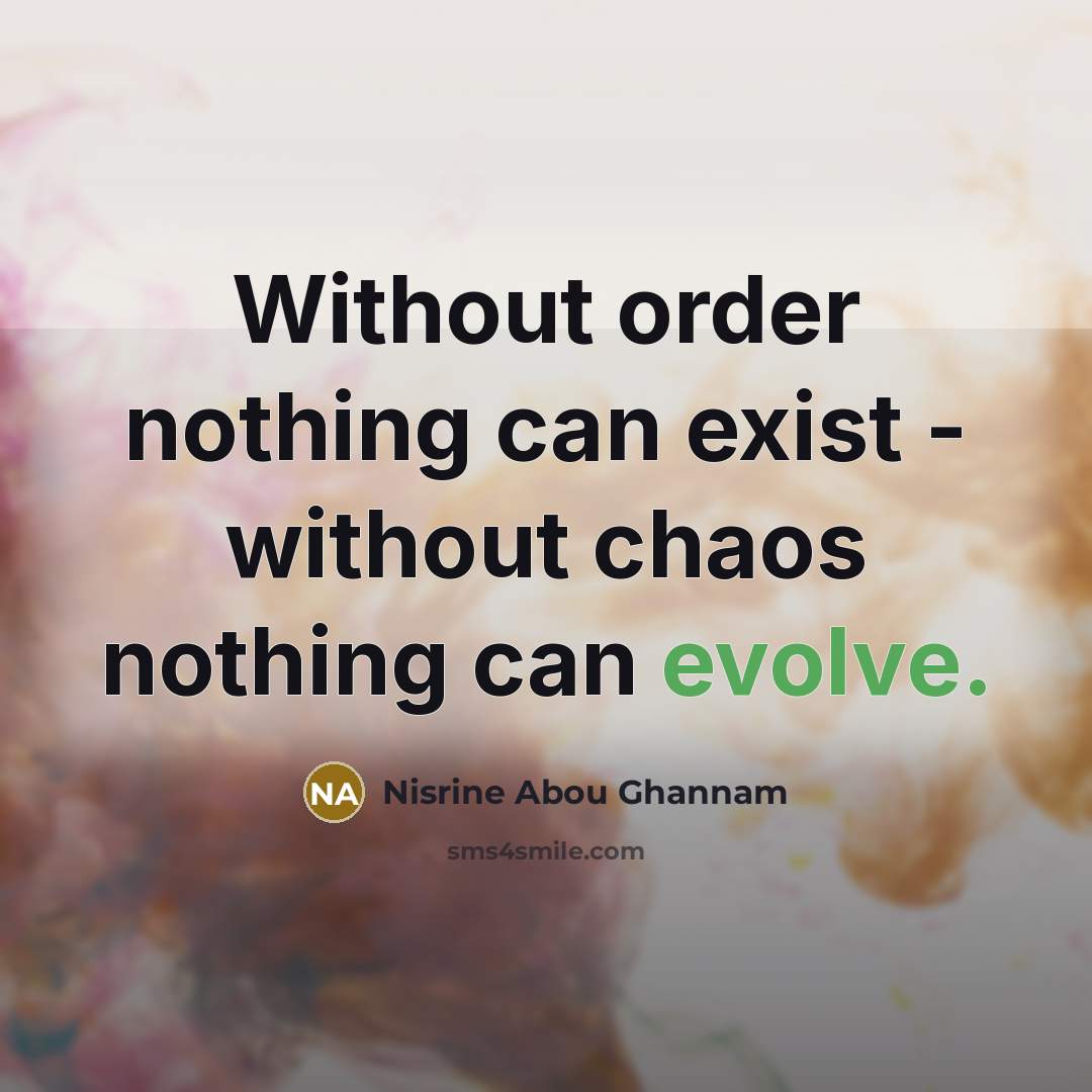 “Without order nothing can exist - without chaos nothing can…” quote by Nisrine Abou Ghannam