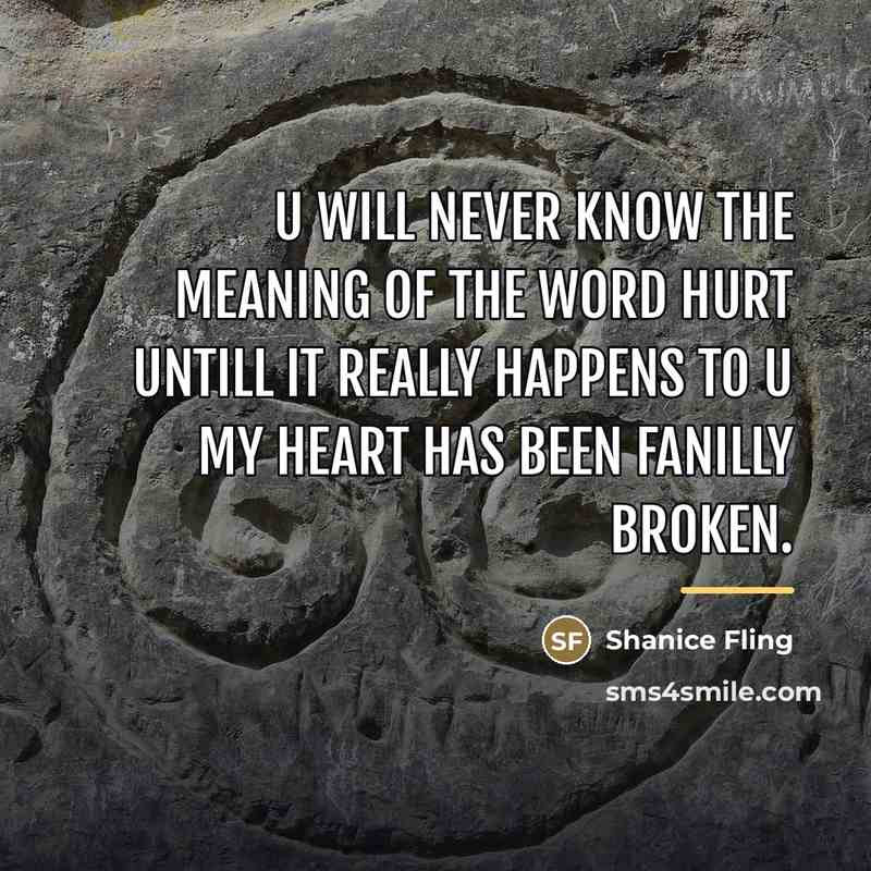 “U will never know the meaning of the word hurt…” quote by Shanice Fling