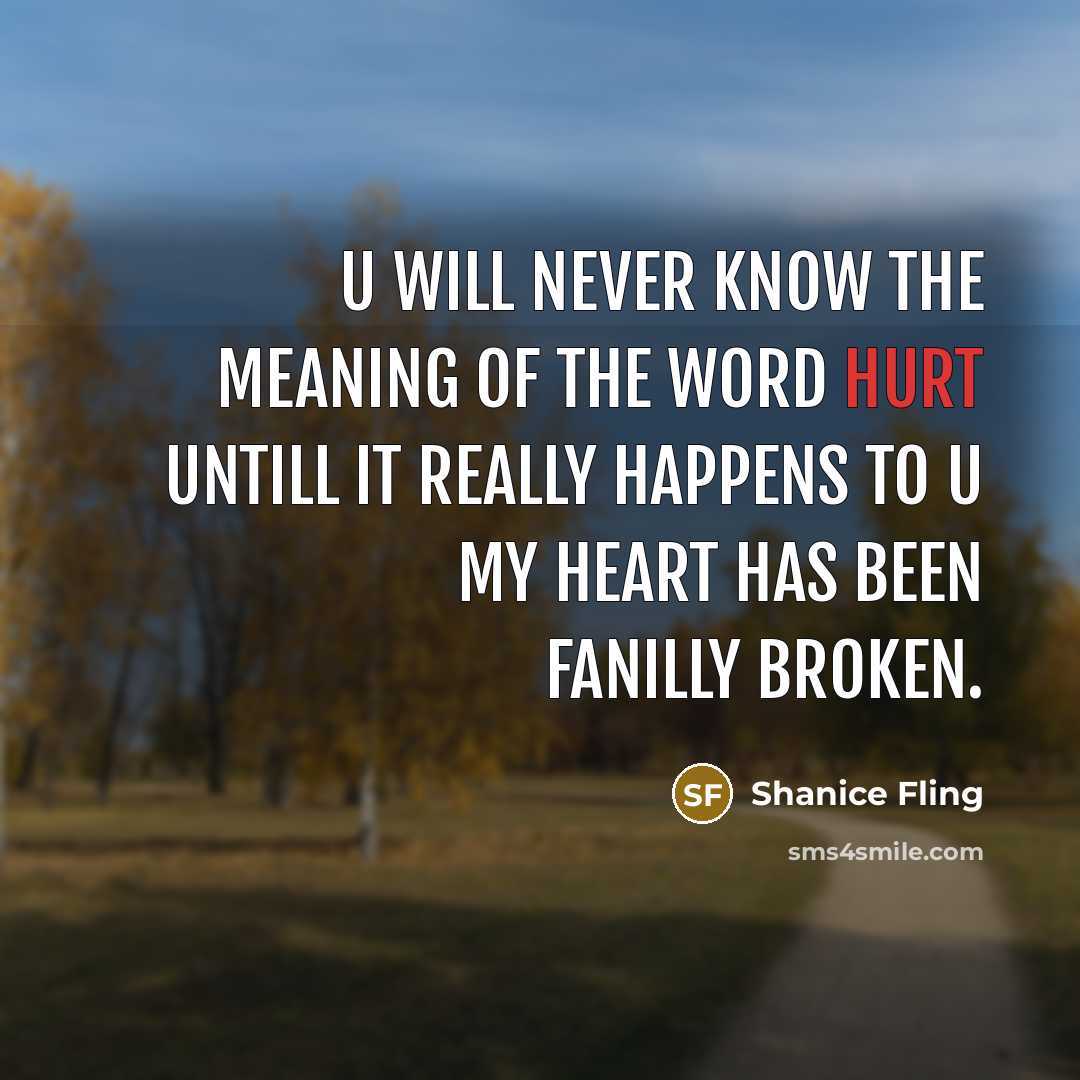 “U will never know the meaning of the word hurt untill it really happens to u my heart has been fanilly broken.” quote by Shanice Fling