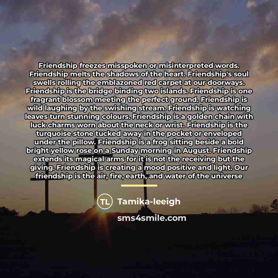 “Friendship freezes misspoken or misinterpreted words. Friendship melts the shadows…” quote by Tamika-leeigh