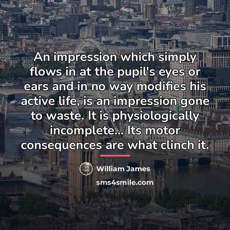 “An impression which simply flows in at the pupil's eyes…” quote by William James