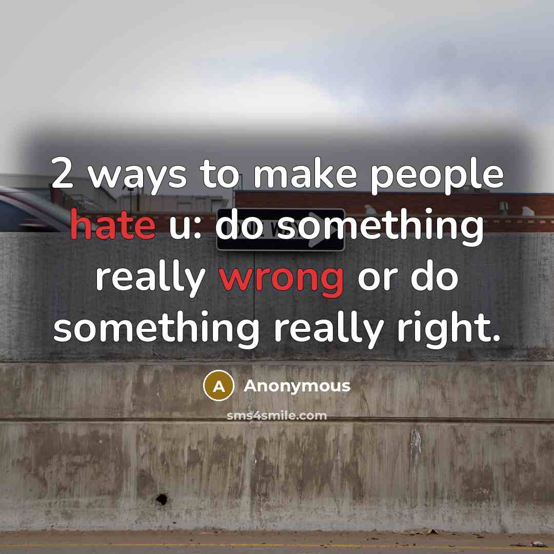 “2 ways to make people hate u: do something really wrong or do something really right.” quote by Anonymous