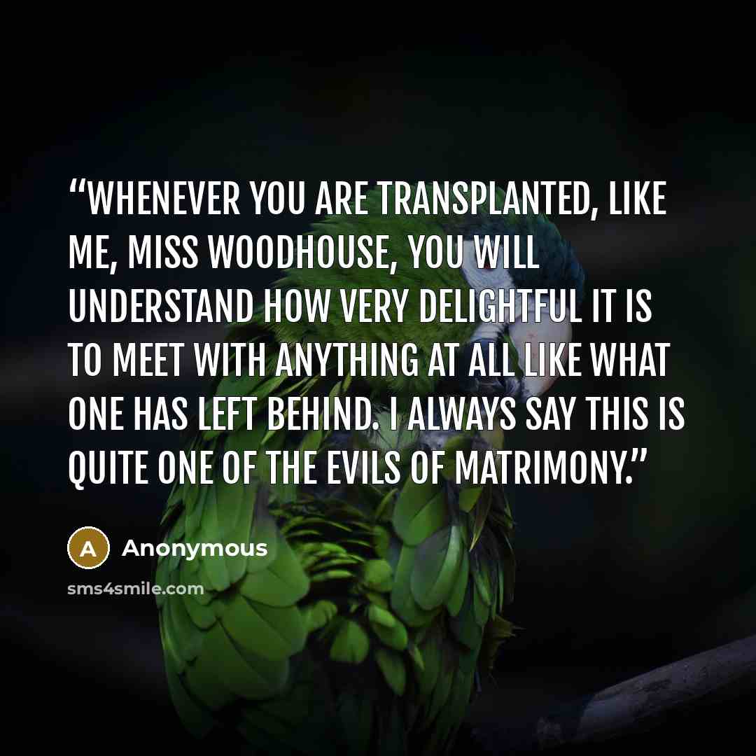 “whenever you are transplanted, like me, Miss Woodhouse, you will understand how very delightful it is to meet with anything at all like what one has left behind. I always say this is quite one of the evils of matrimony.” quote by Anonymous