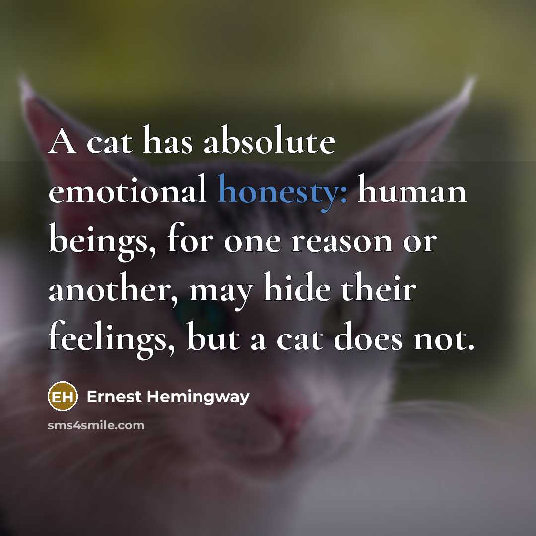 “A cat has absolute emotional honesty: human beings, for one…” quote by Ernest Hemingway