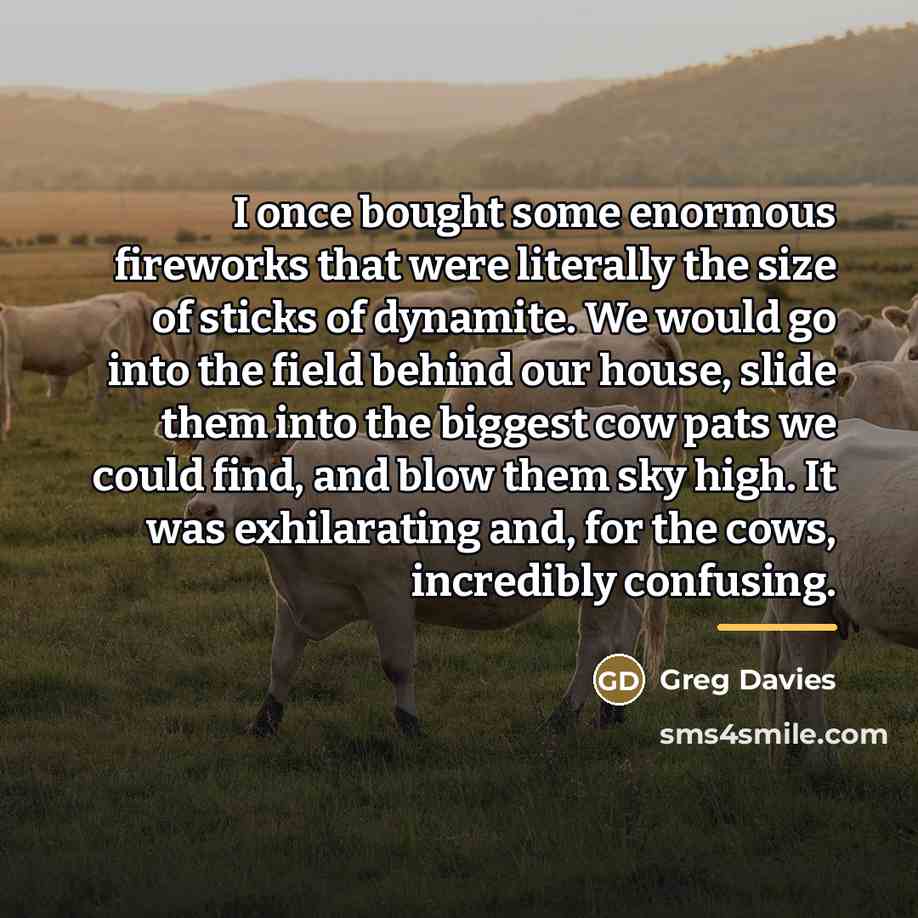“I once bought some enormous fireworks that were literally the…” quote by Greg Davies