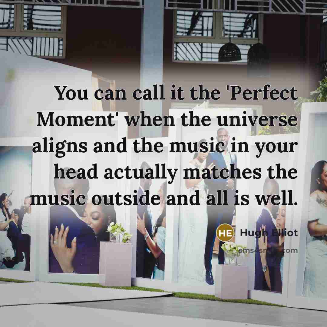 “You can call it the 'Perfect Moment' when the universe…” quote by Hugh Elliot