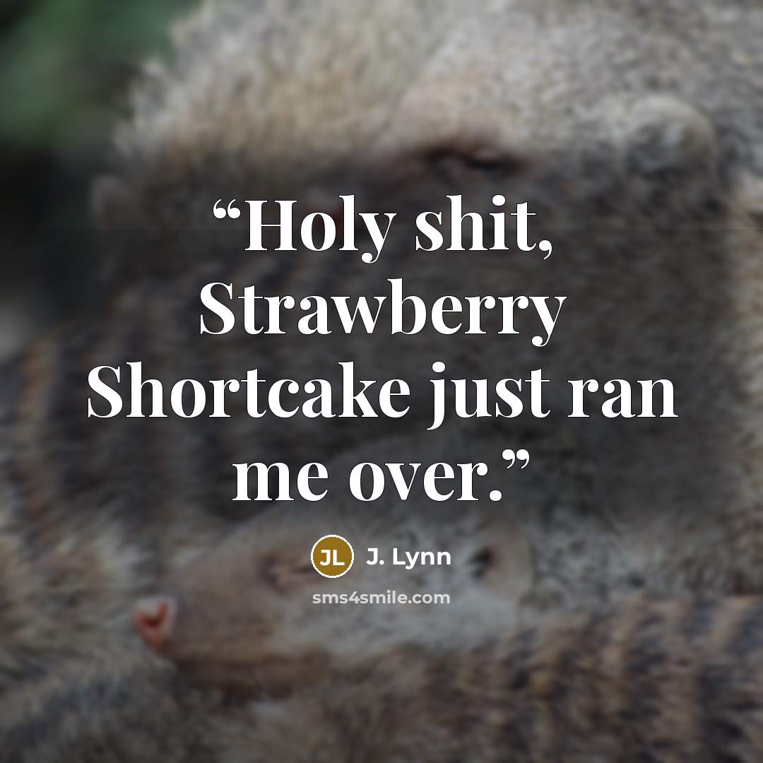 “Holy shit, Strawberry Shortcake just ran me over.” quote by J. Lynn