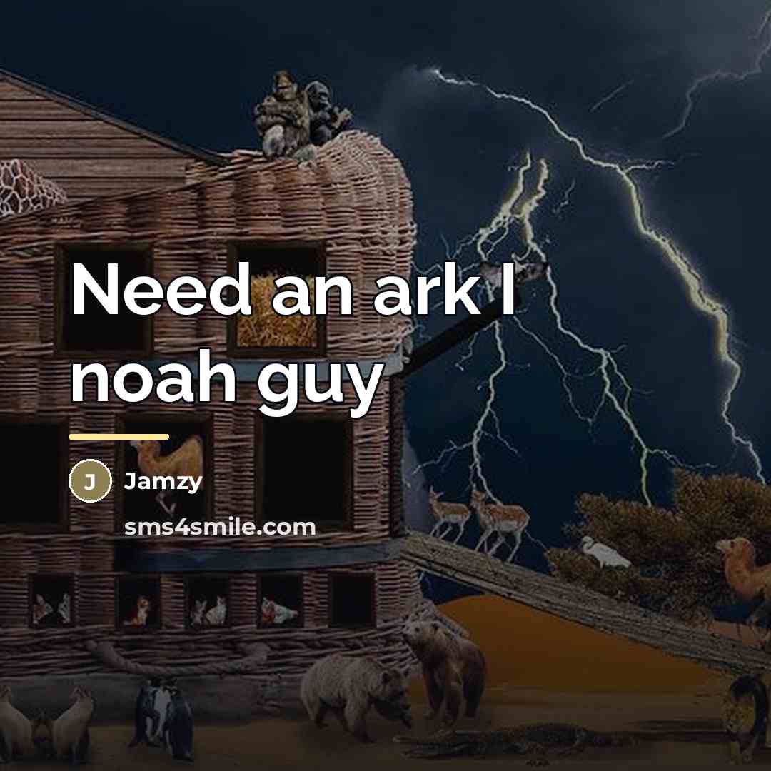 “Need an ark I noah guy…” quote by Jamzy