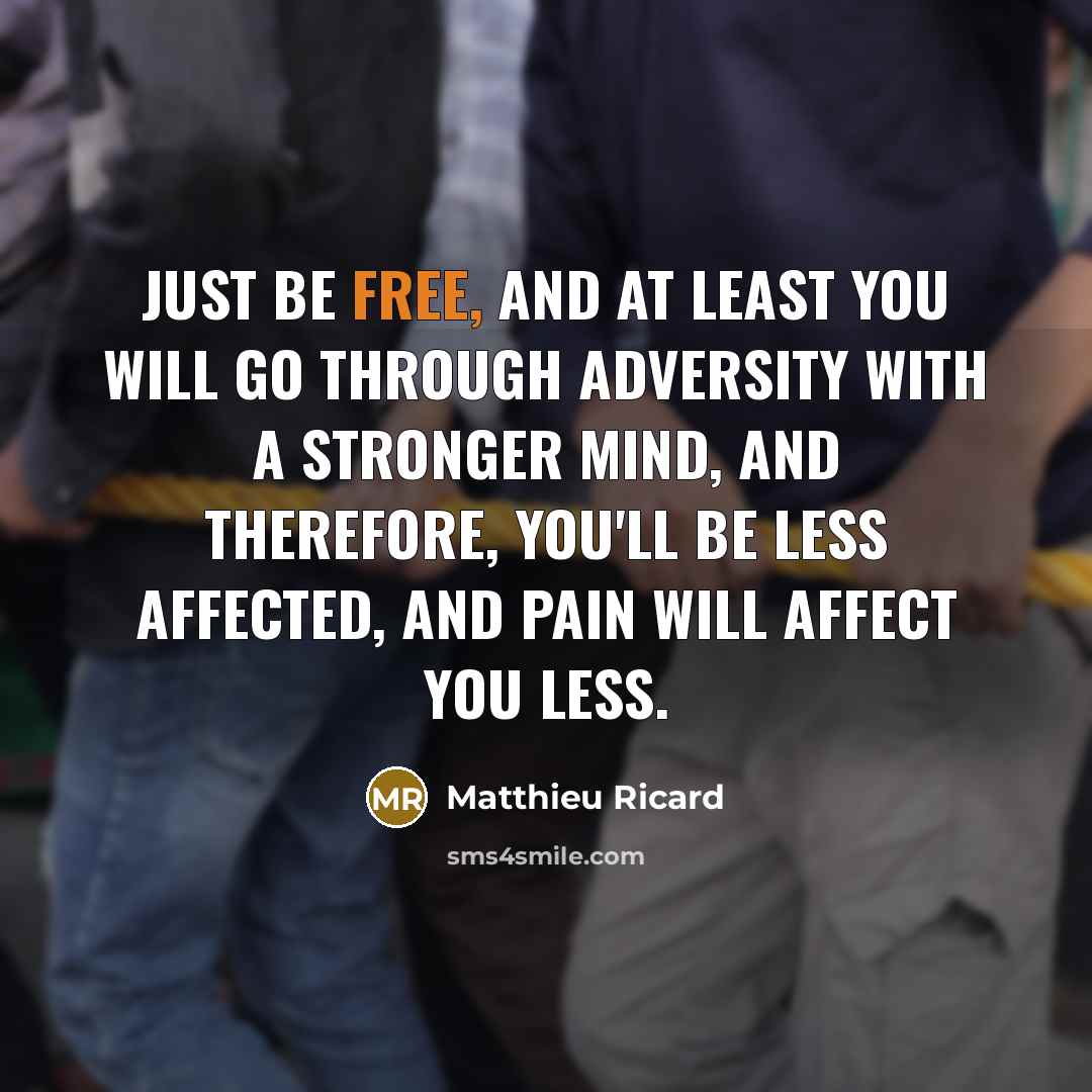 “Just be free, and at least you will go through…” quote by Matthieu Ricard