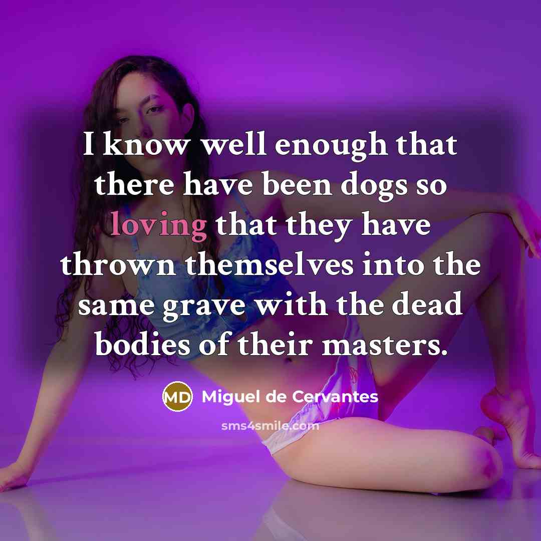 “I know well enough that there have been dogs so…” quote by Miguel de Cervantes