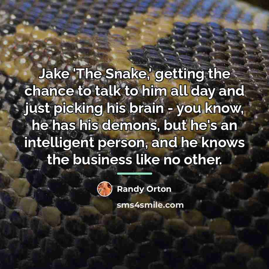 “Jake 'The Snake,' getting the chance to talk to him…” quote by Randy Orton