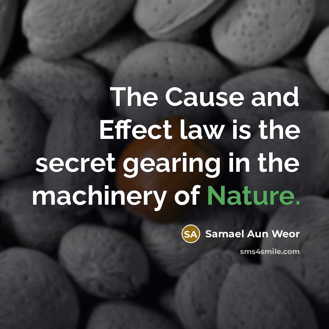 “The Cause and Effect law is the secret gearing in…” quote by Samael Aun Weor