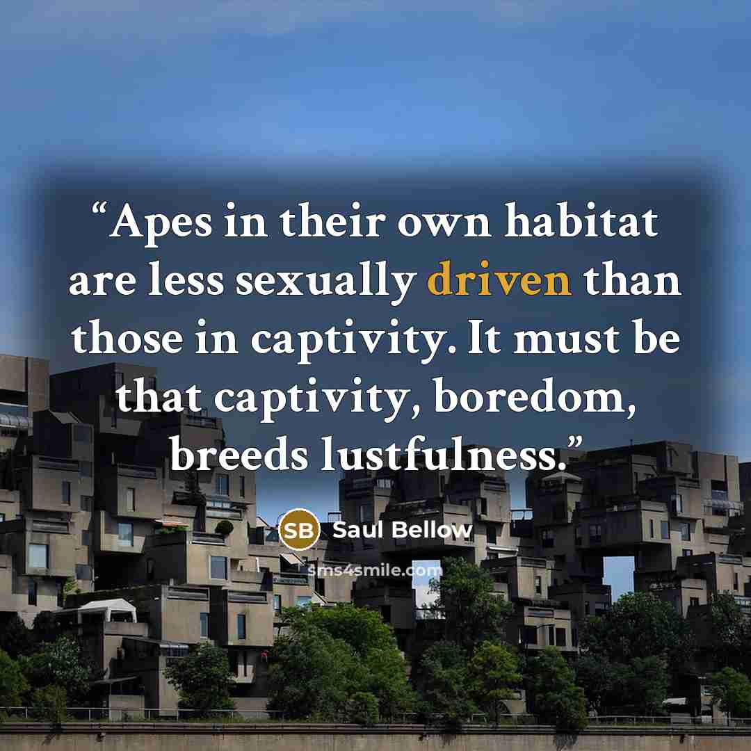 “Apes in their own habitat are less sexually driven than those in captivity. It must be that captivity, boredom, breeds lustfulness.” quote by Saul Bellow