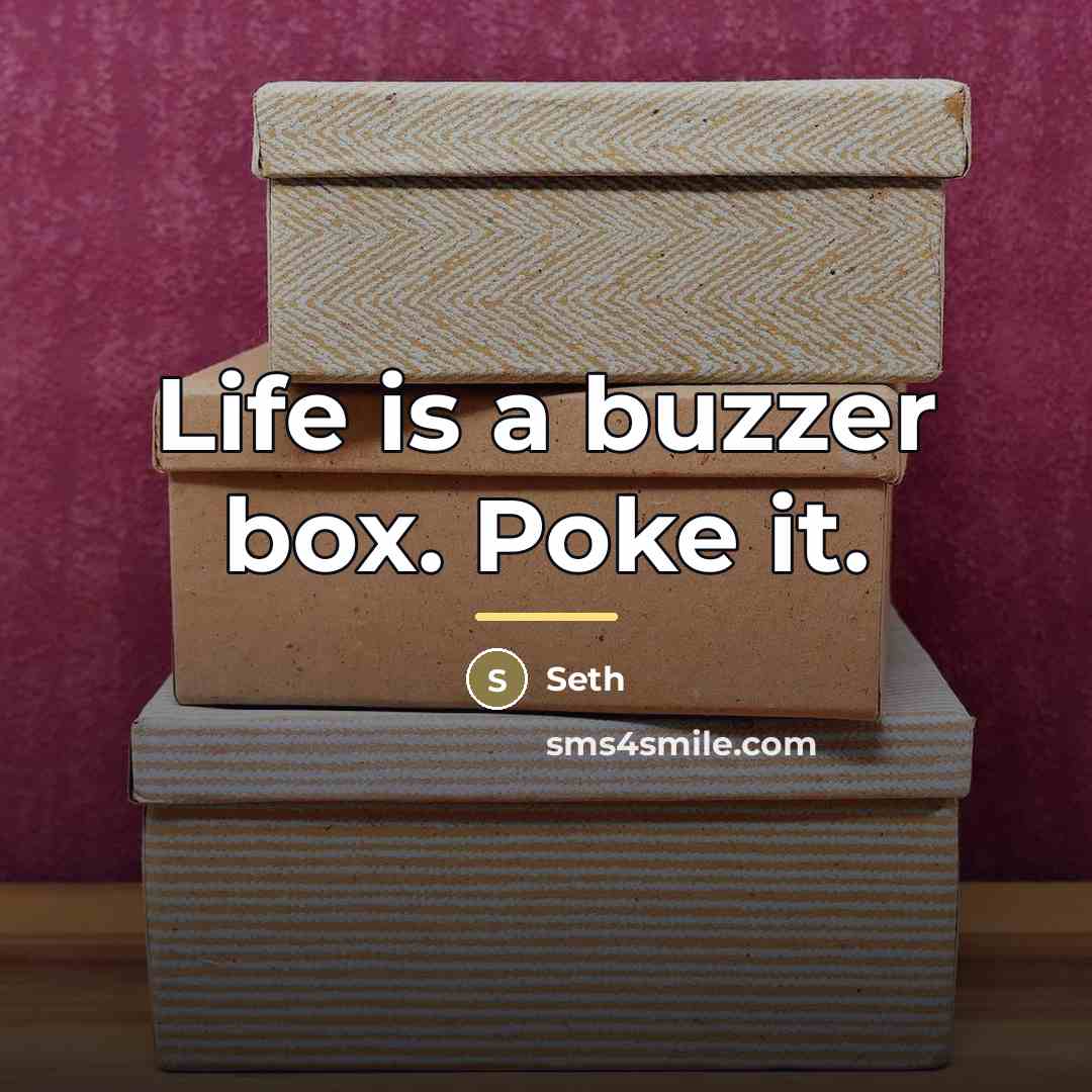 “Life is a buzzer box. Poke it.…” quote by Seth