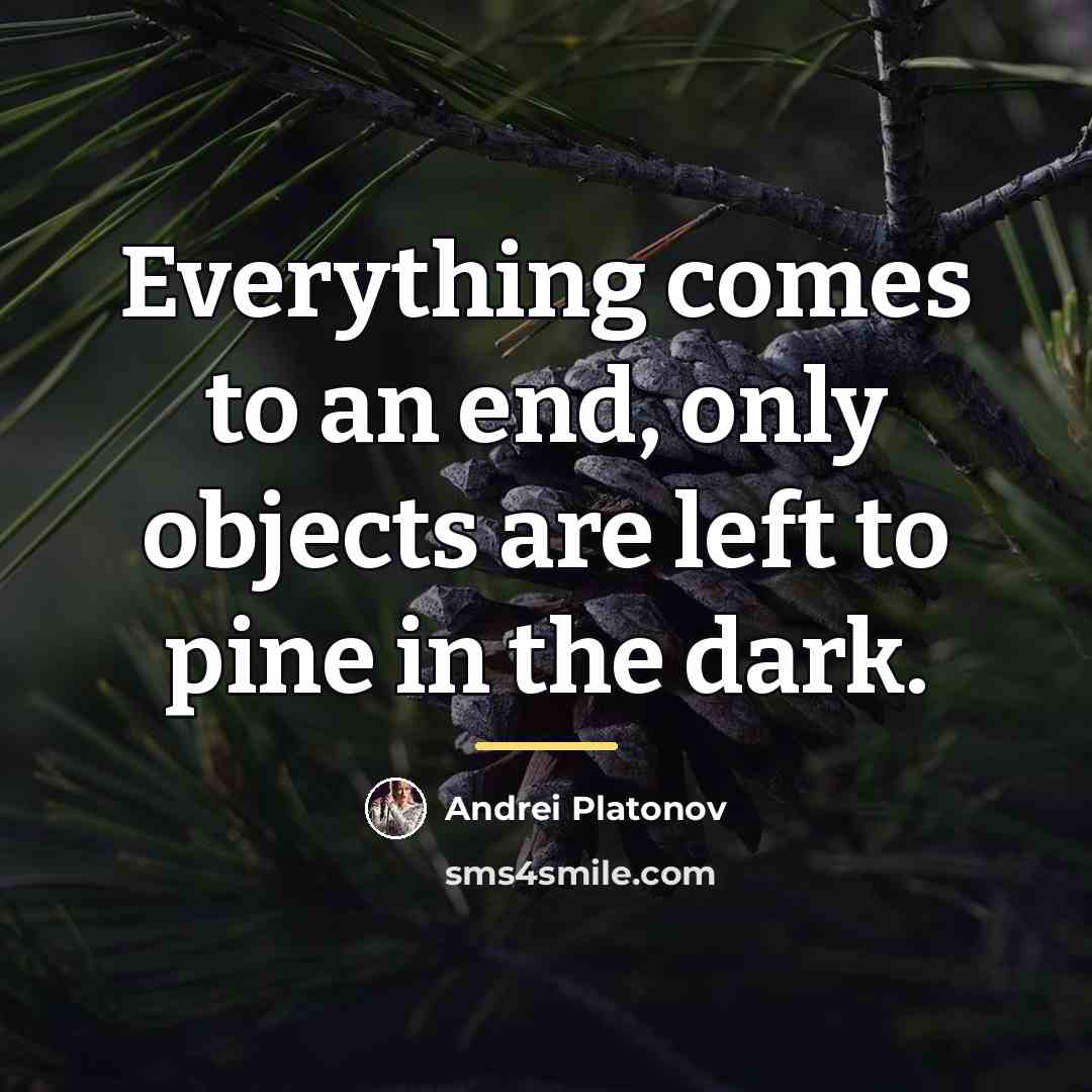“Everything comes to an end, only objects are left to…” quote by Andrei Platonov