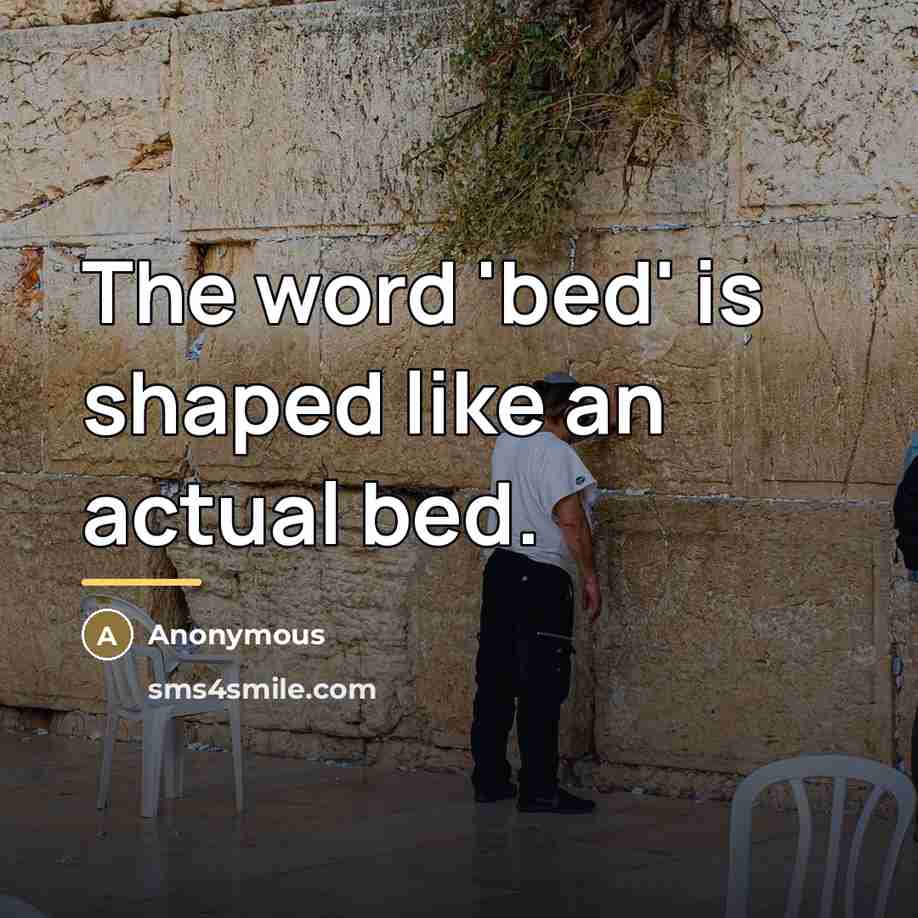 “The word 'bed' is shaped like an actual bed.…” quote by Anonymous