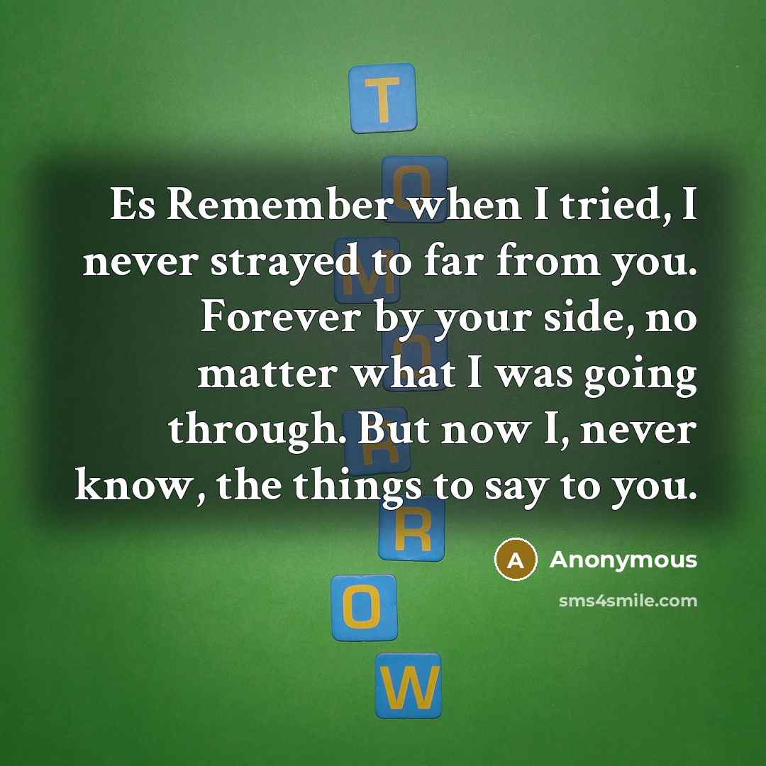 “Es Remember when I tried, I never strayed to far from you. Forever by your side, no matter what I was going through. But now I, never know, the things to say to you.” quote by Anonymous