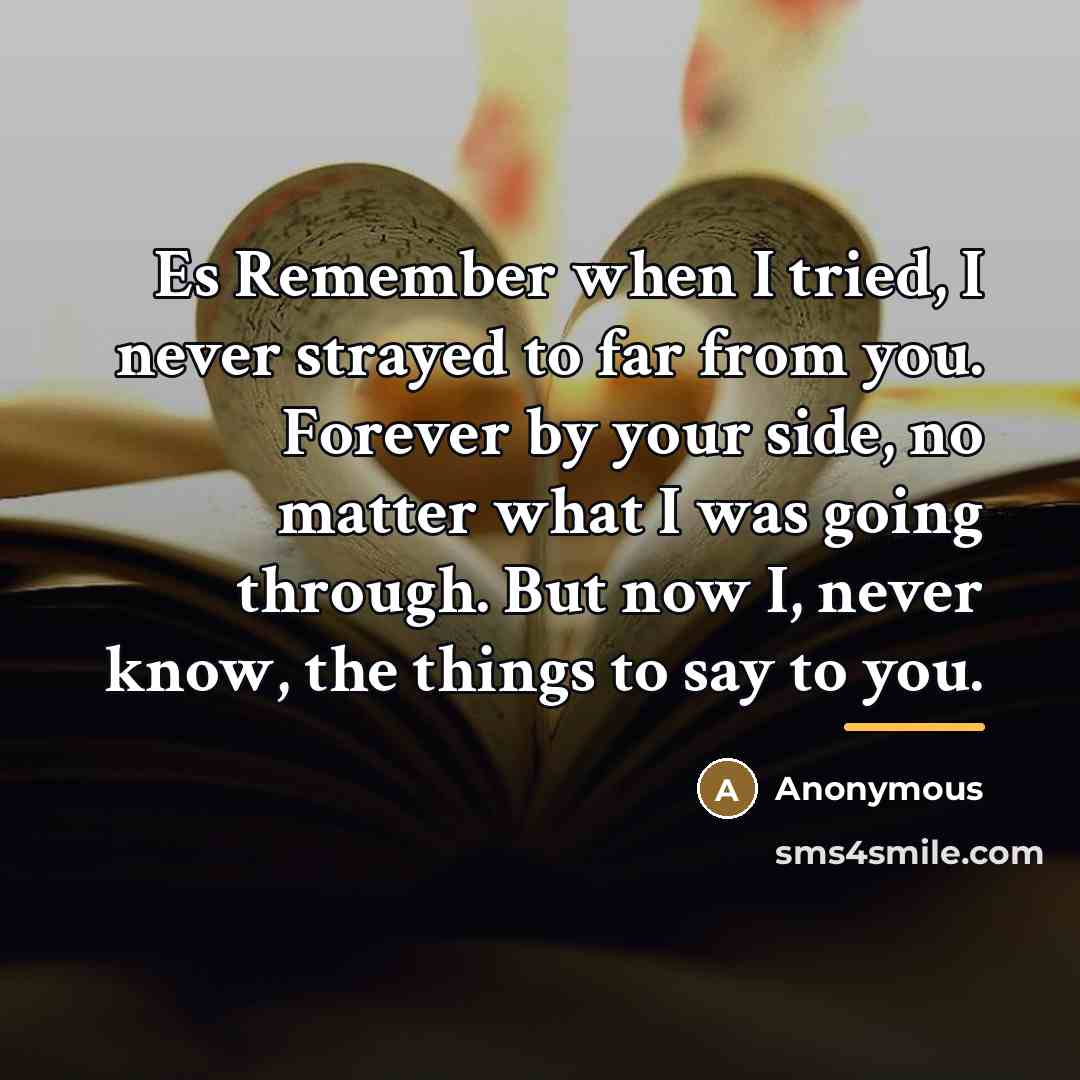 “Es Remember when I tried, I never strayed to far…” quote by Anonymous