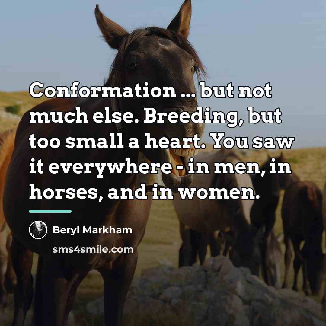 “Conformation ... but not much else. Breeding, but too small…” quote by Beryl Markham