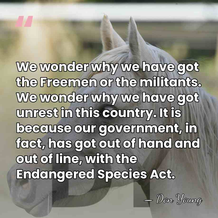 We wonder why we have got the Freemen or the militants. We&hellip; - Don Young