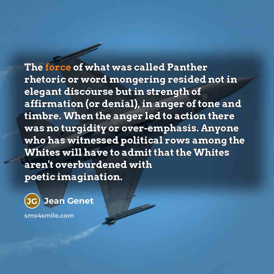 “The force of what was called Panther rhetoric or word…” quote by Jean Genet