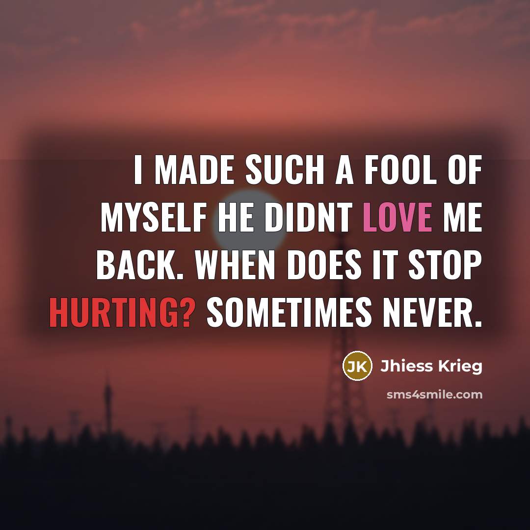 “I made such a fool of myself He didnt love me back. When does it stop hurting? Sometimes never.” quote by Jhiess Krieg