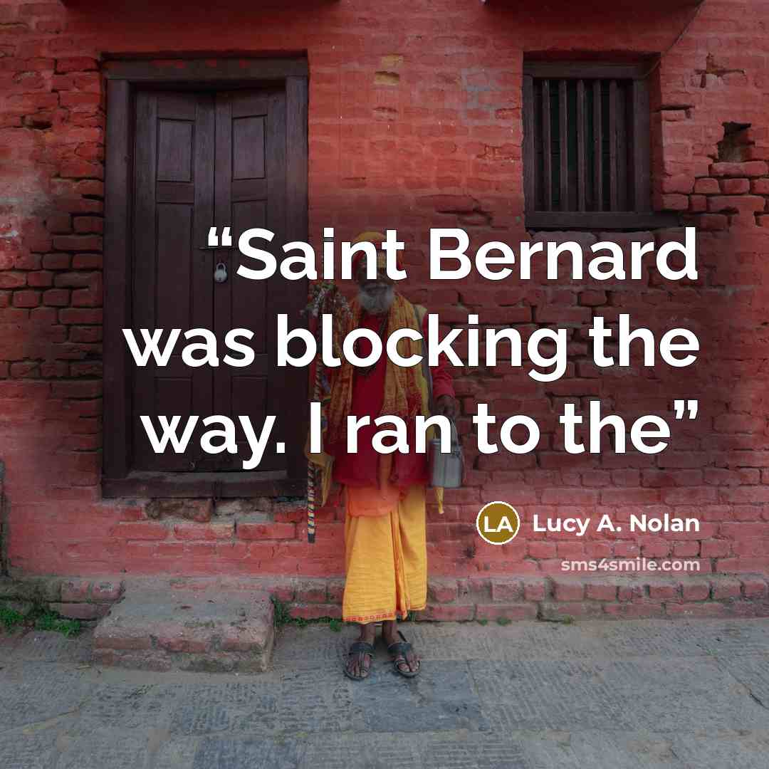 “Saint Bernard was blocking the way. I ran to the” quote by Lucy A. Nolan