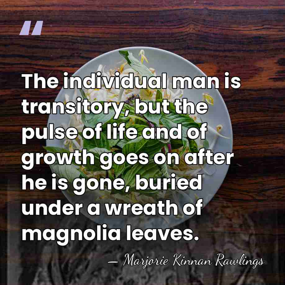 The individual man is transitory, but the pulse of life and of&hellip; - Marjorie Kinnan Rawlings
