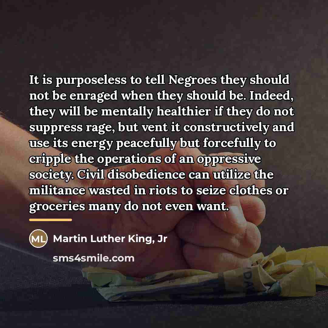 “It is purposeless to tell Negroes they should not be…” quote by Martin Luther King, Jr