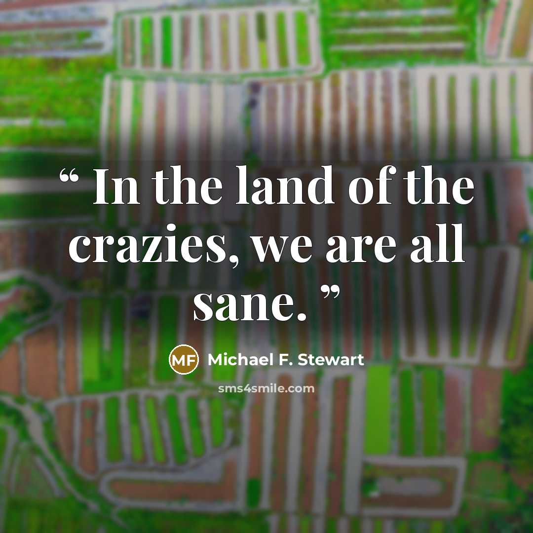 “In the land of the crazies, we are all sane.” quote by Michael F. Stewart