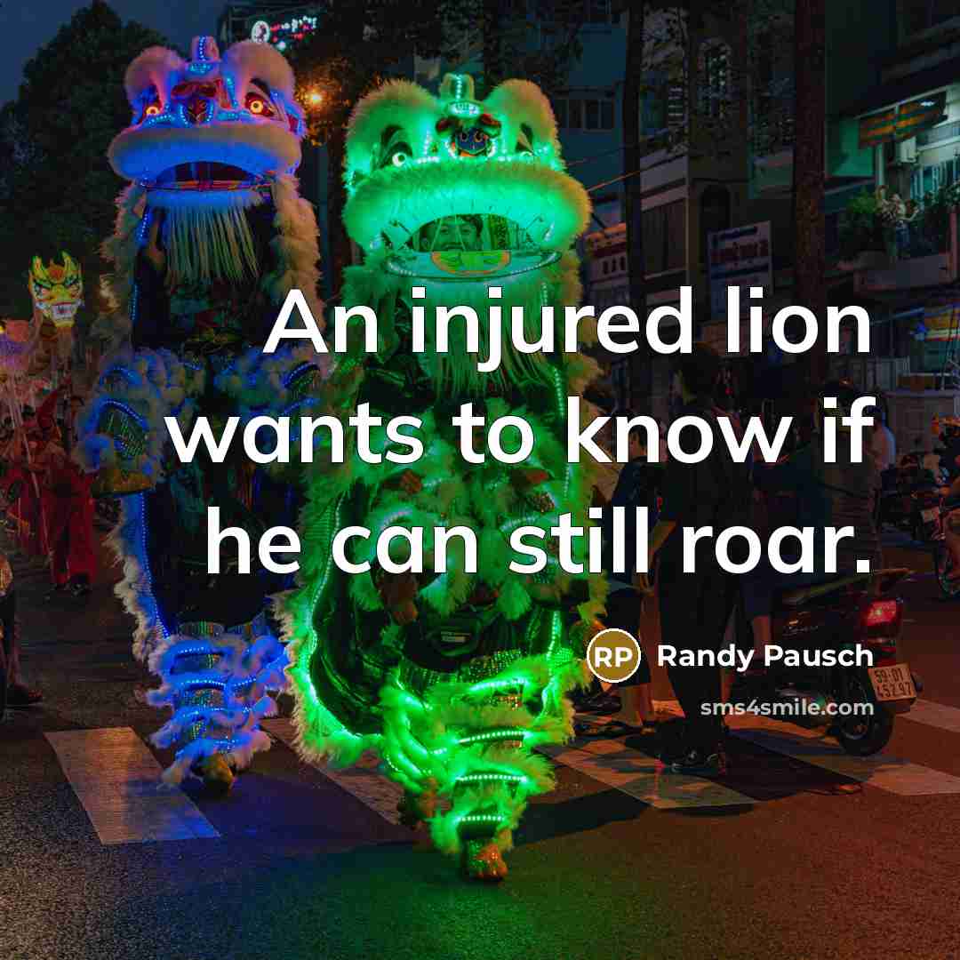 “An injured lion wants to know if he can still roar.” quote by Randy Pausch