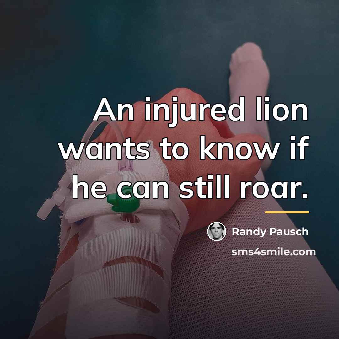 “An injured lion wants to know if he can still…” quote by Randy Pausch