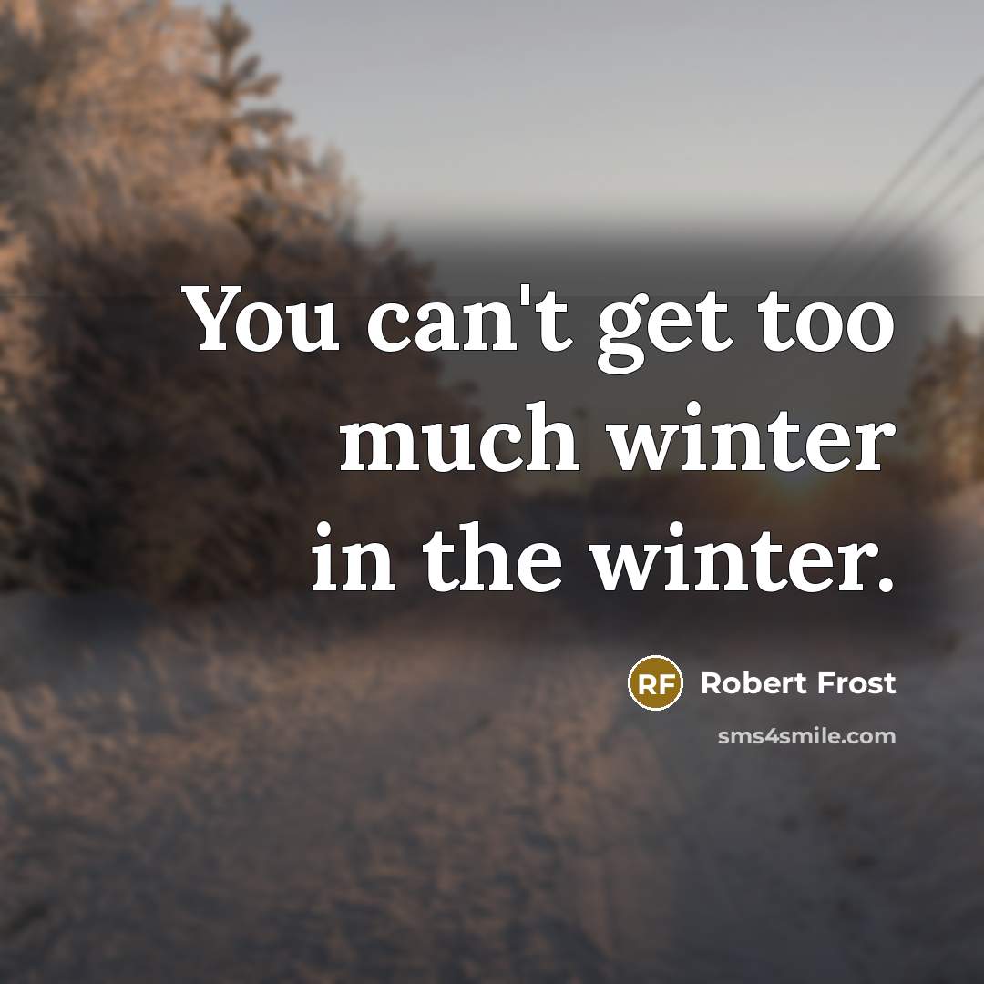 “You can't get too much winter in the winter.…” quote by Robert Frost