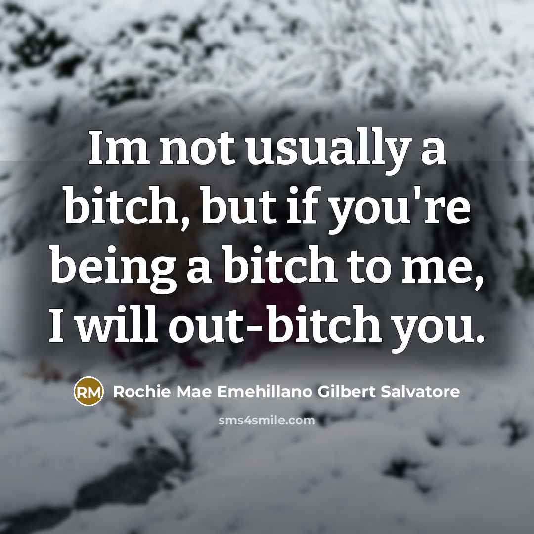 “Im not usually a bitch, but if you're being a…” quote by Rochie Mae Emehillano Gilbert Salvatore