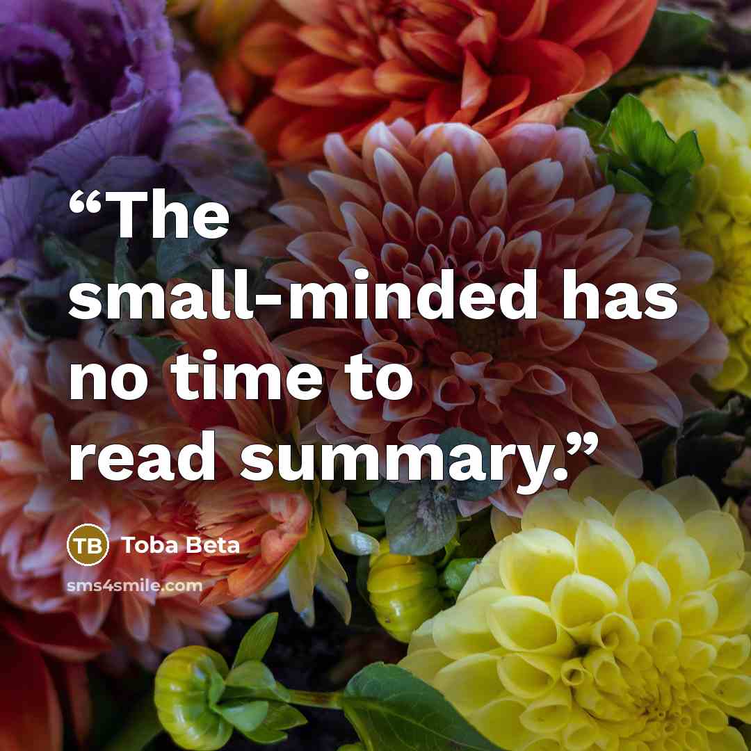 “The small-minded has no time to read summary.” quote by Toba Beta