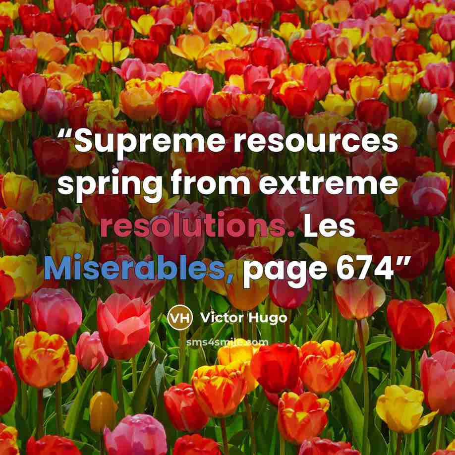 “Supreme resources spring from extreme resolutions. Les Miserables, page 674” quote by Victor Hugo