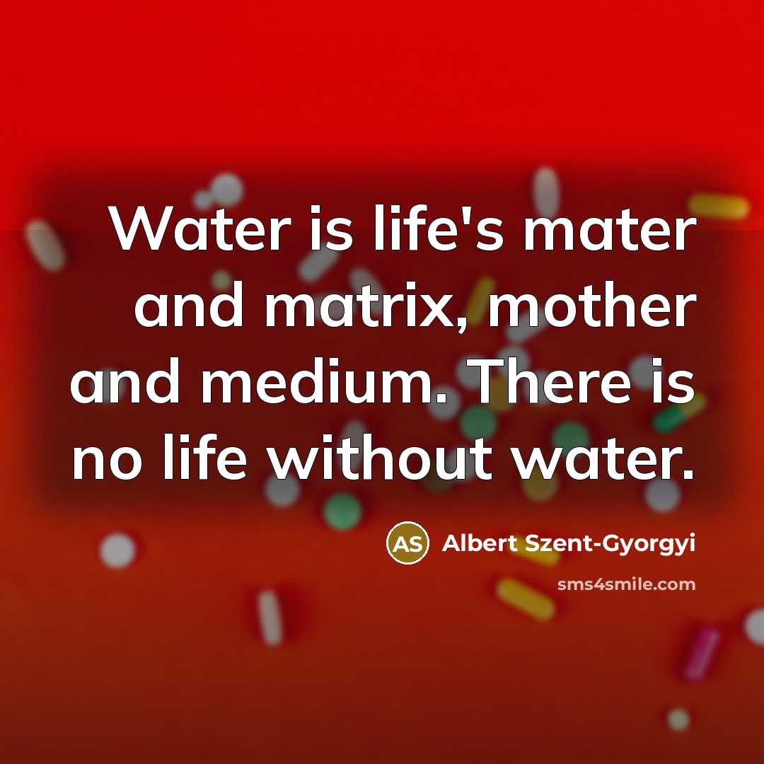 “Water is life's mater and matrix, mother and medium. There…” quote by Albert Szent-Gyorgyi