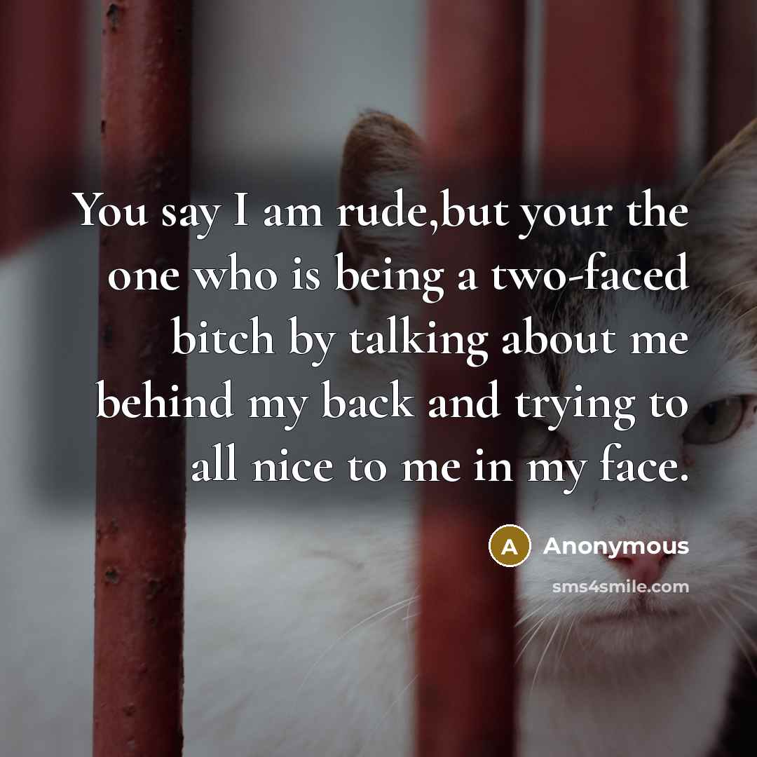 “You say I am rude,but your the one who is…” quote by Anonymous
