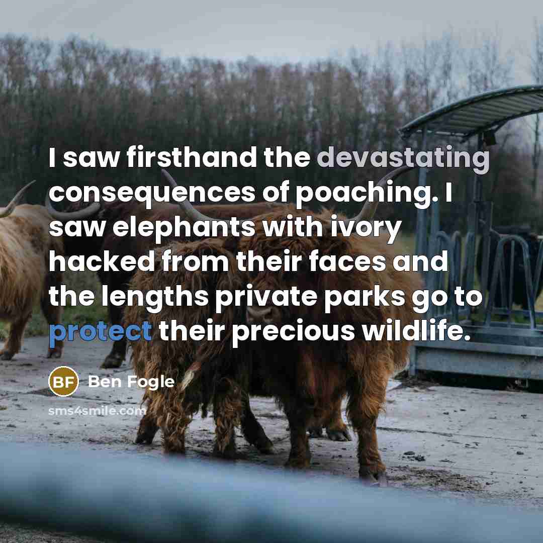 “I saw firsthand the devastating consequences of poaching. I saw elephants with ivory hacked from their faces and the lengths private parks go to protect their precious wildlife.” quote by Ben Fogle