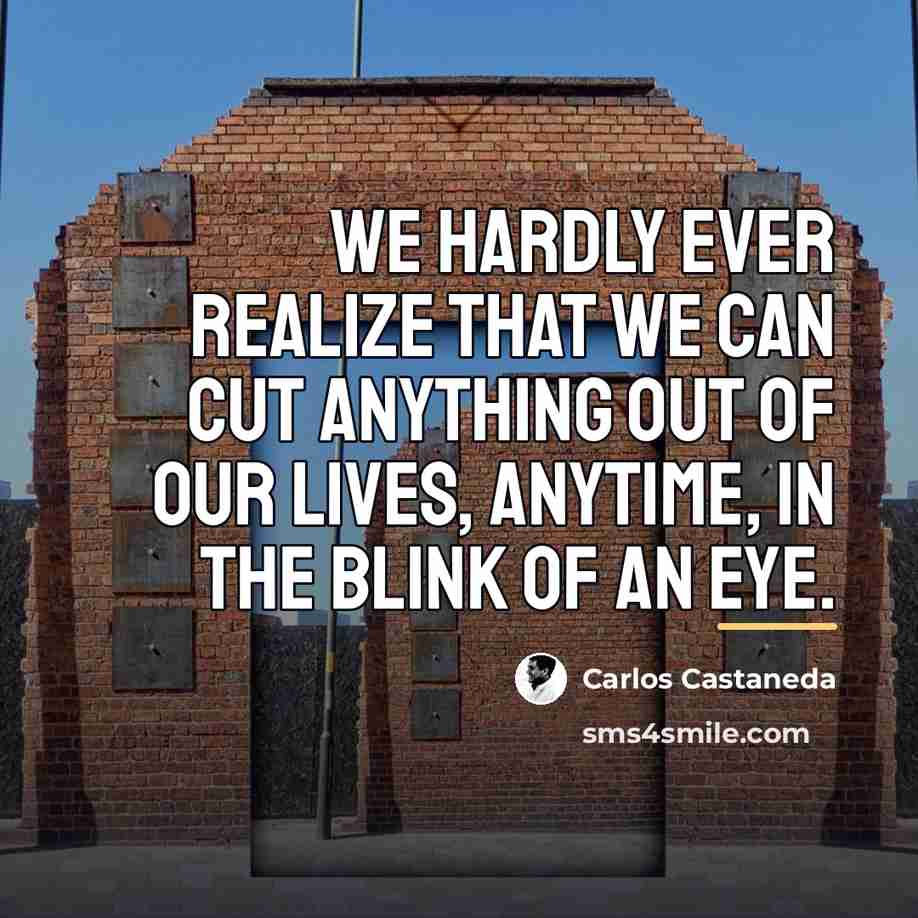 “We hardly ever realize that we can cut anything out…” quote by Carlos Castaneda