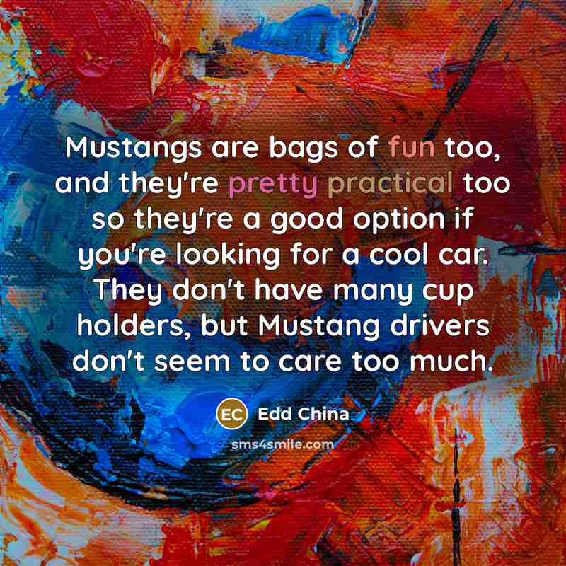 “Mustangs are bags of fun too, and they're pretty practical…” quote by Edd China