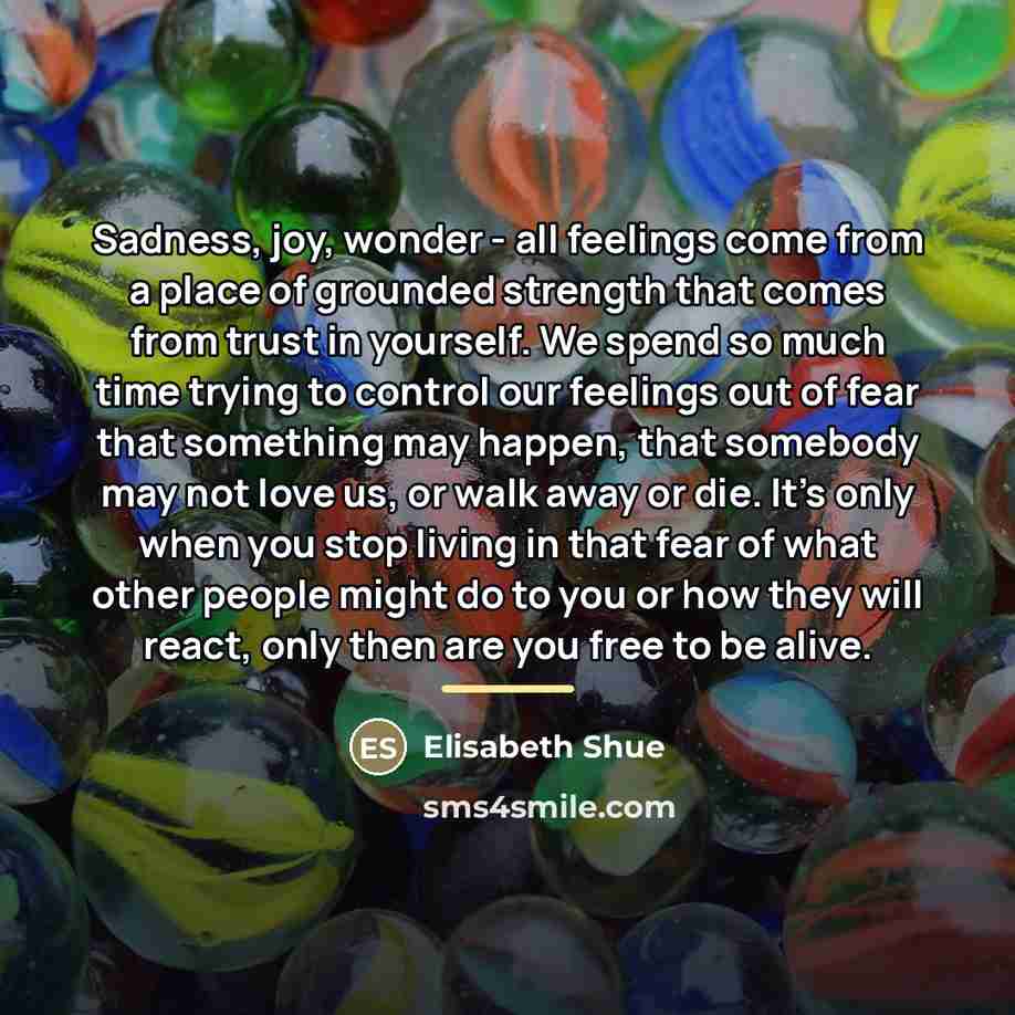 “Sadness, joy, wonder - all feelings come from a place…” quote by Elisabeth Shue