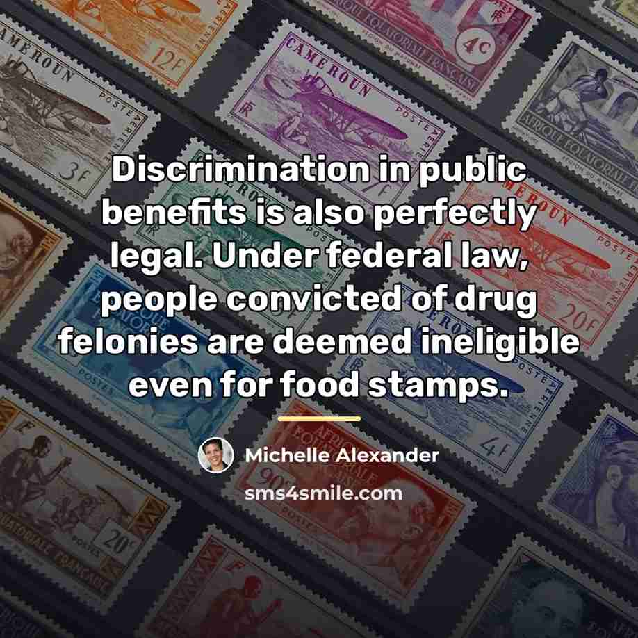 “Discrimination in public benefits is also perfectly legal. Under federal…” quote by Michelle Alexander