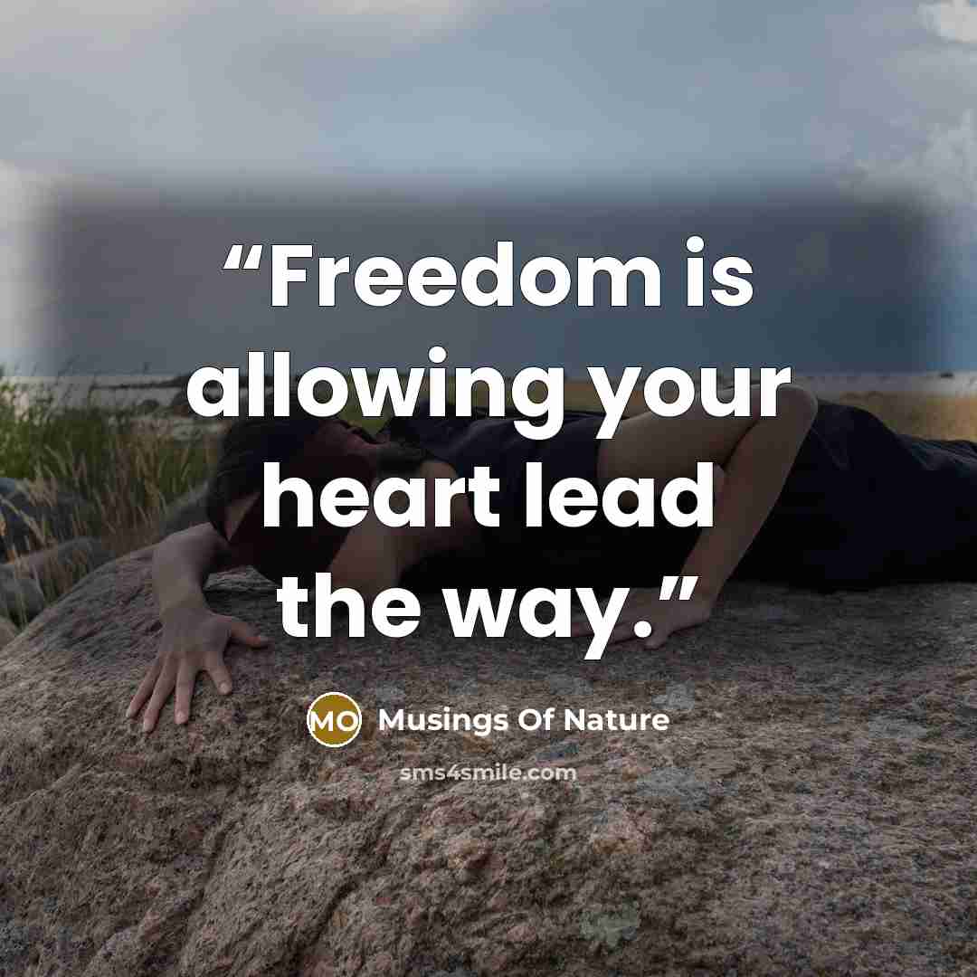 “Freedom is allowing your heart lead the way.” quote by Musings Of Nature