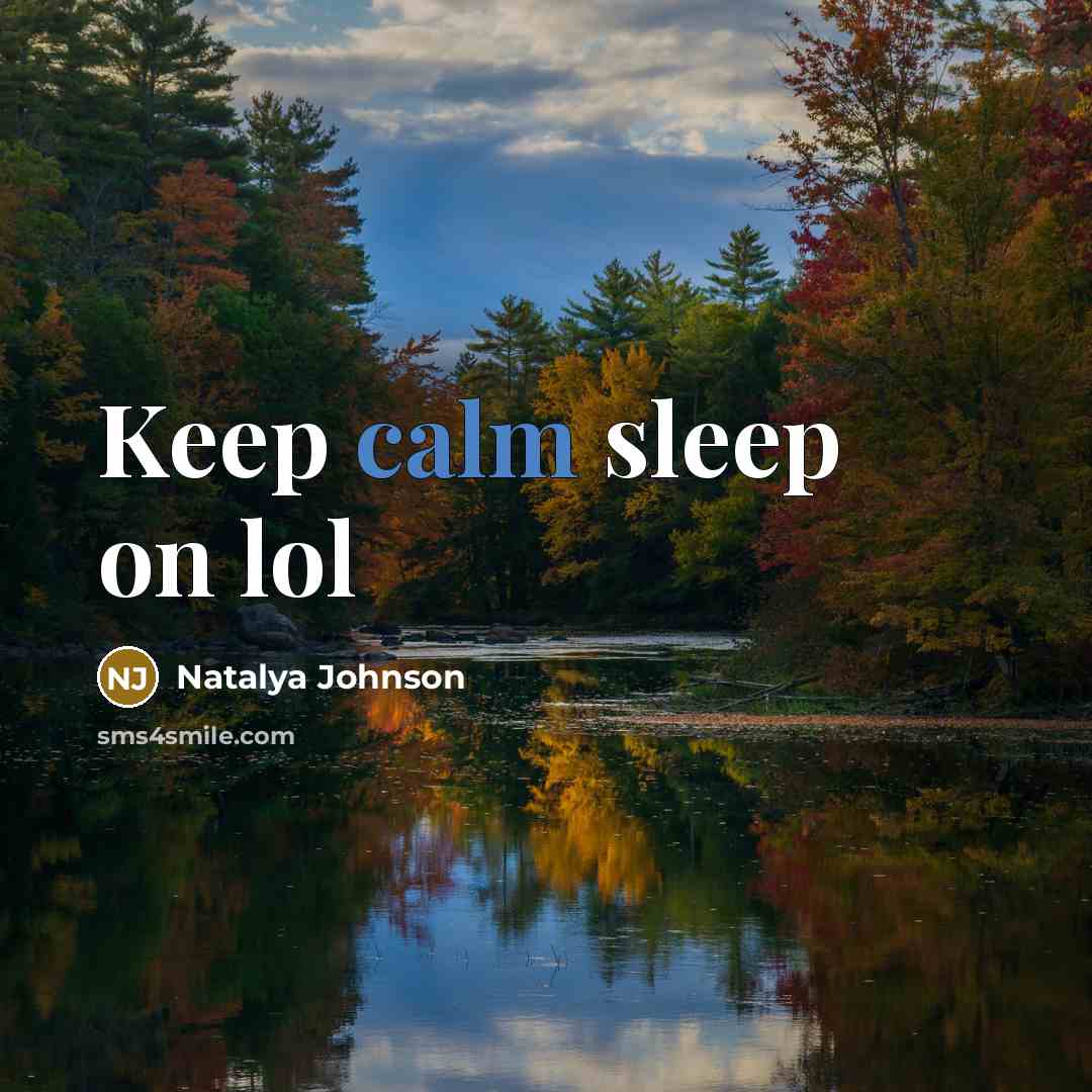 “Keep calm sleep on lol…” quote by Natalya Johnson