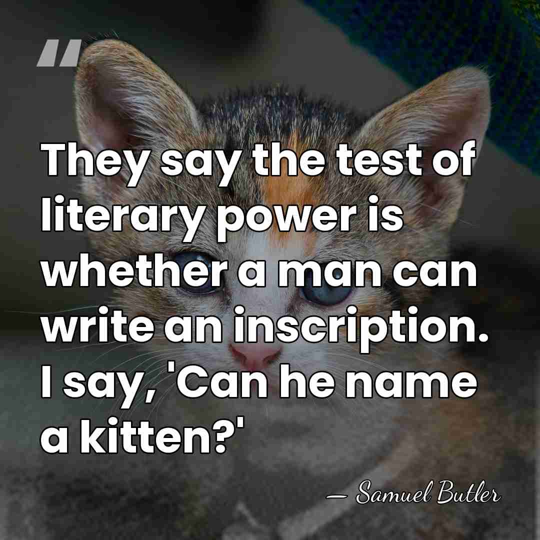 They say the test of literary power is whether a man can&hellip; - Samuel Butler