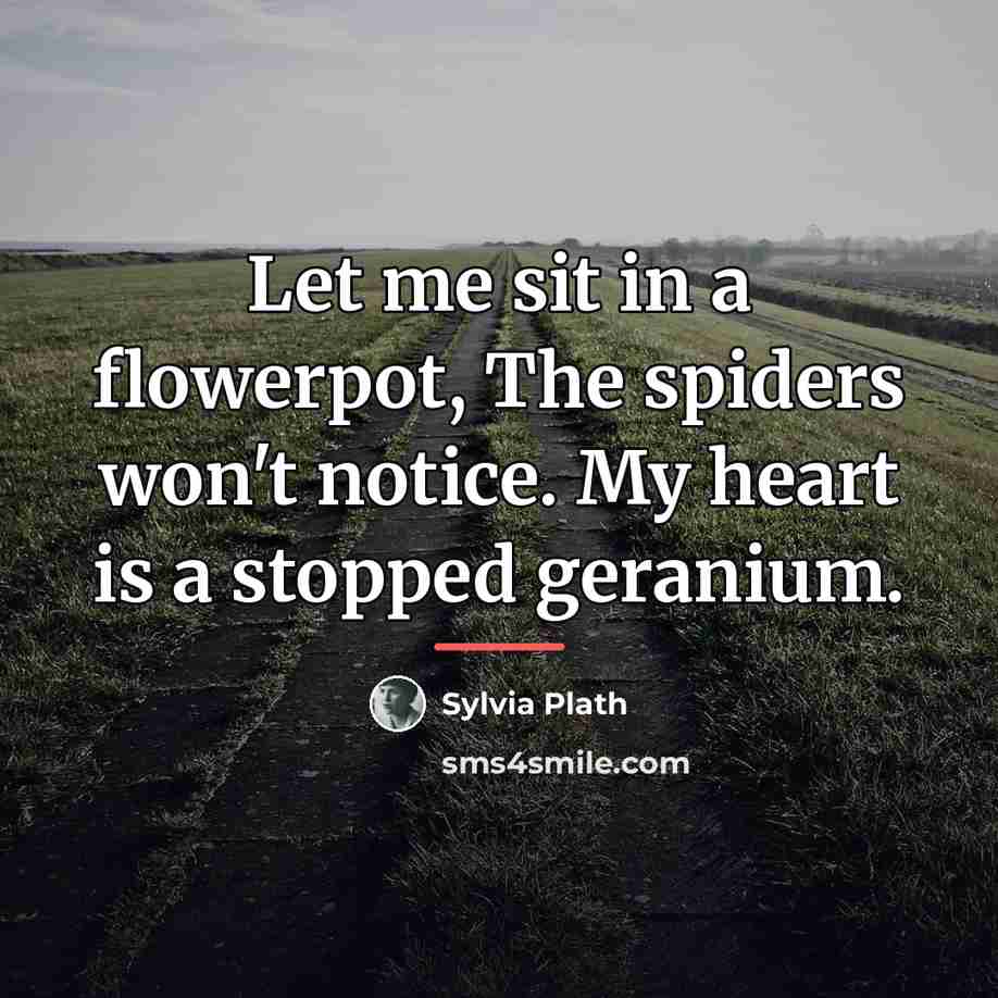 “Let me sit in a flowerpot, The spiders won't notice.…” quote by Sylvia Plath