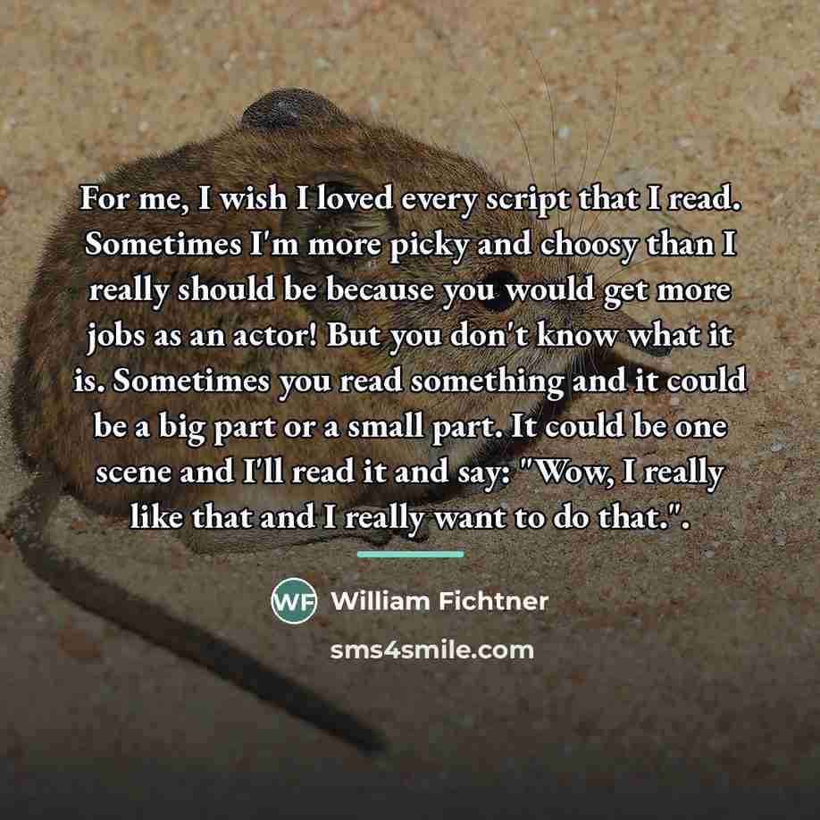 “For me, I wish I loved every script that I…” quote by William Fichtner